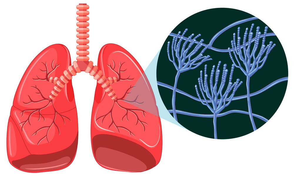 OSITO Oxygen Concentrator Tips——What is Tachypnea?